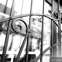 /album/fotogalerie-uvod/aj-mriz-s-brankou1c-jpg1/